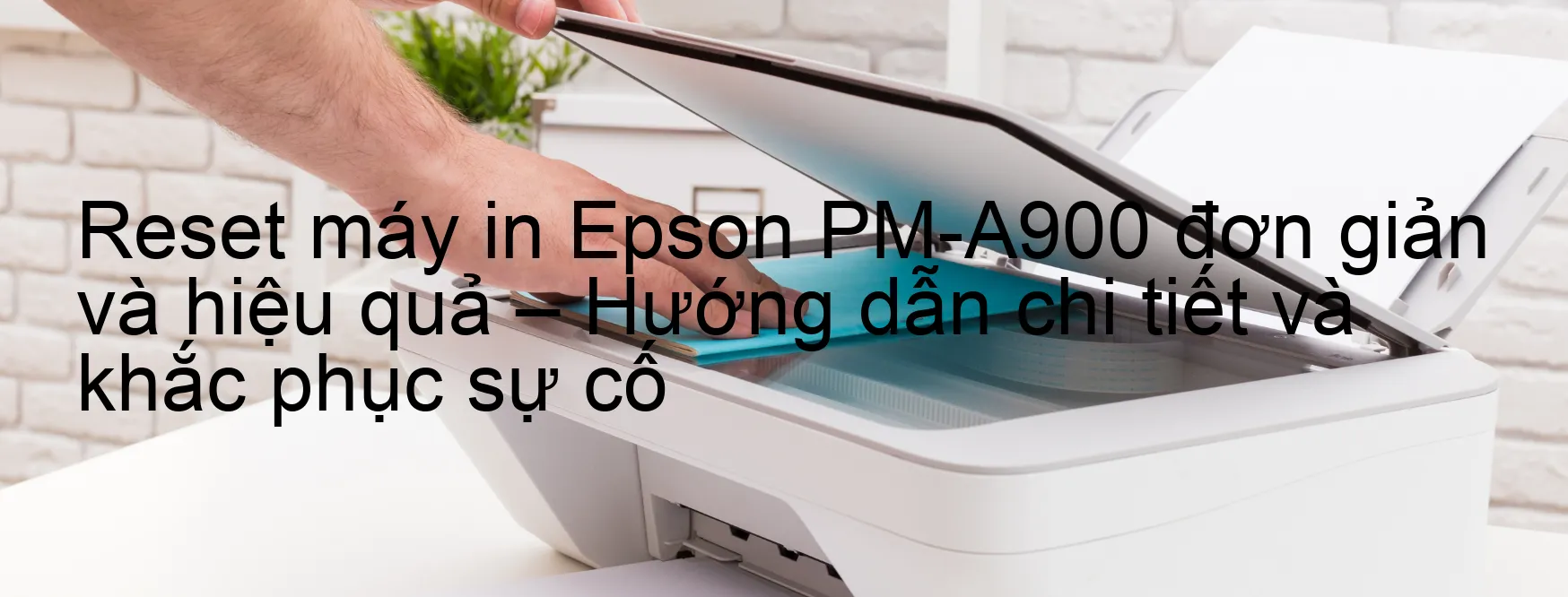 reset-may-in-epson-pm-a900-don-gian-va-hieu-qua-huong-dan-chi-tiet-va-khac-phuc-su-co.webp