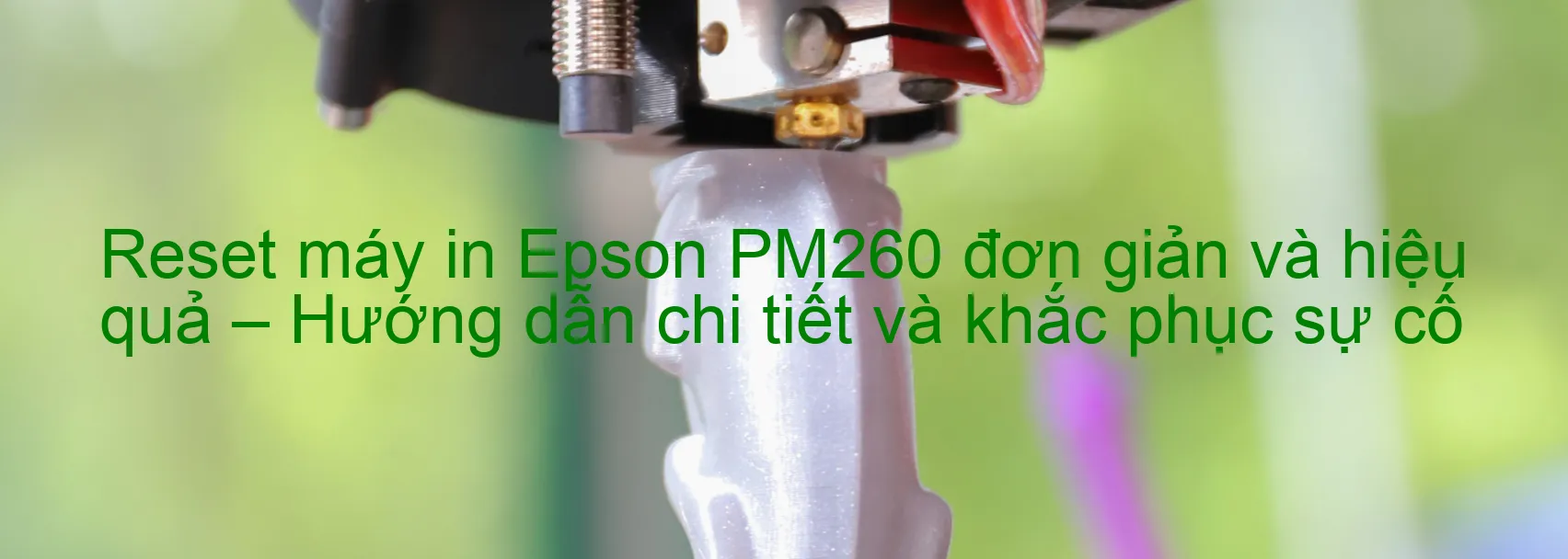 reset-may-in-epson-pm260-don-gian-va-hieu-qua-huong-dan-chi-tiet-va-khac-phuc-su-co.webp